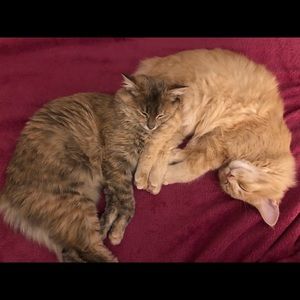 Meet your Posher, Christine